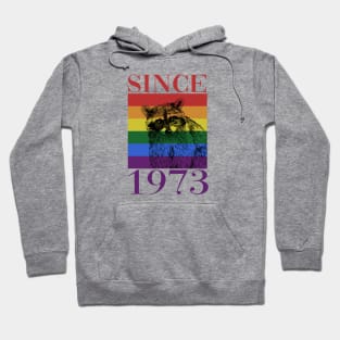 Retro LGBT Raccoon Since 1973 Hoodie